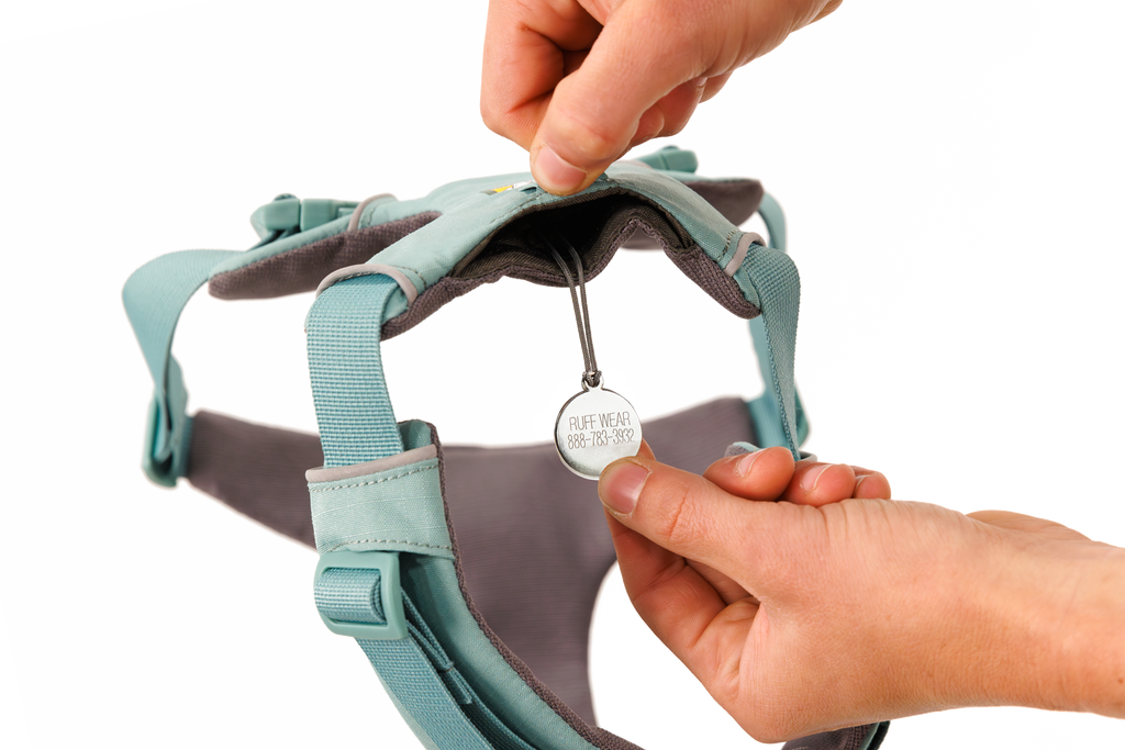 Front Range® Dog Harness